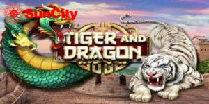 Tổng quan về rồng hổ suncity